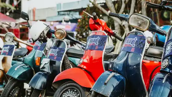 Why Canggu holds the densest studio cluster on Bali