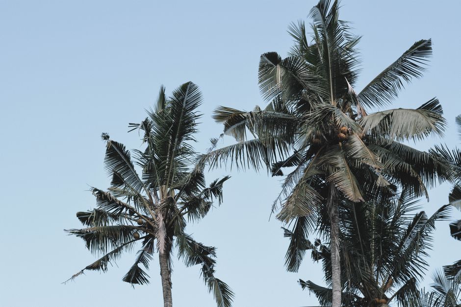 Where Bali videographers cluster — Canggu, Seminyak, Ubud