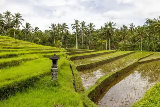Studio or location: on Bali this is a real decision
