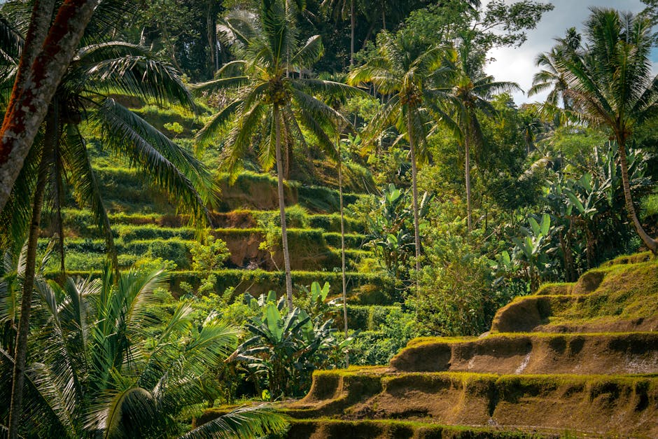 Ubud vs Canggu vs Denpasar — which cluster to book